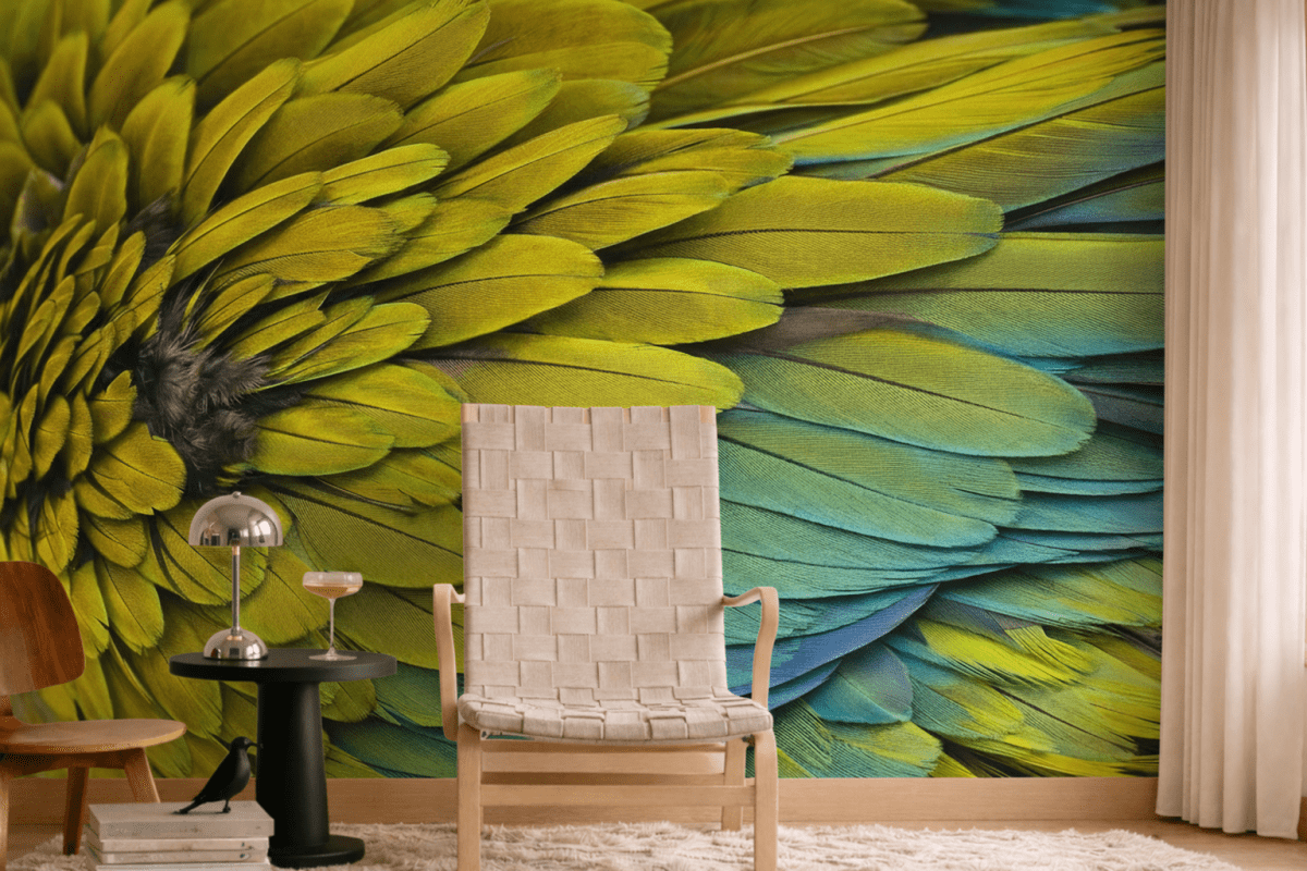Lush Feather Veil