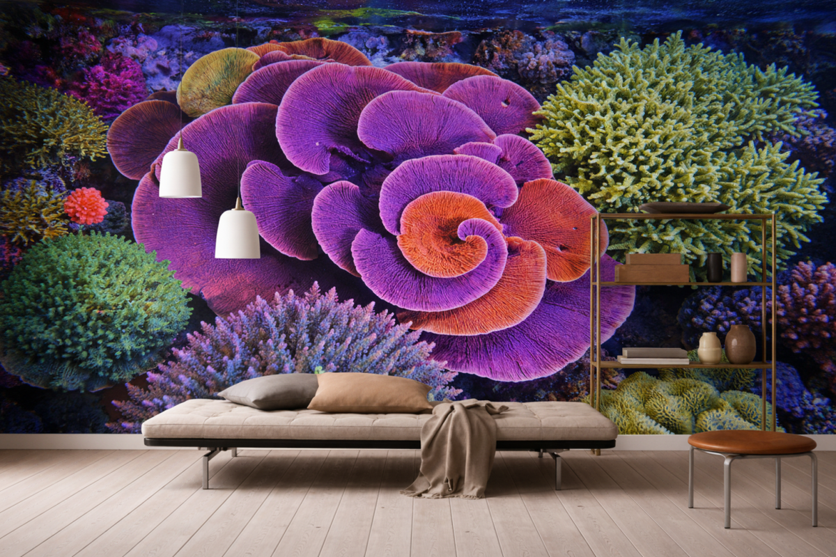 Spiral Reef Dance