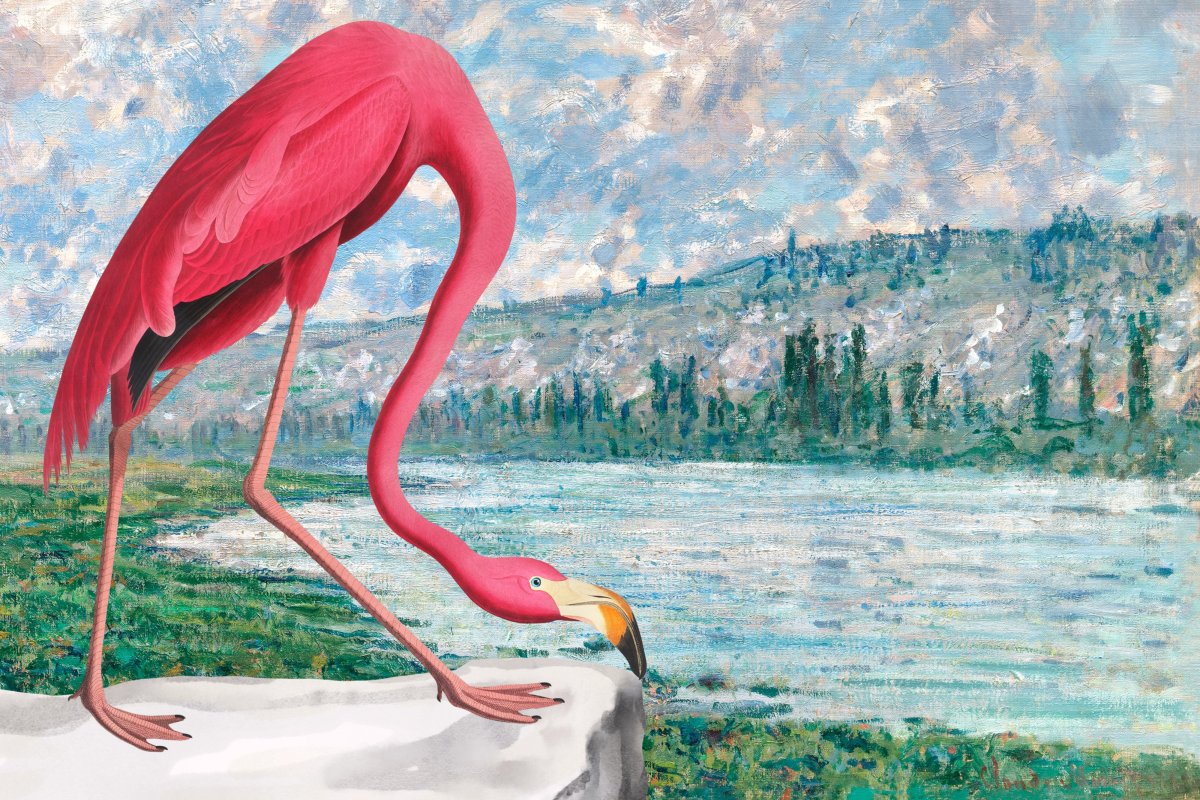 Crimson Waterbird
