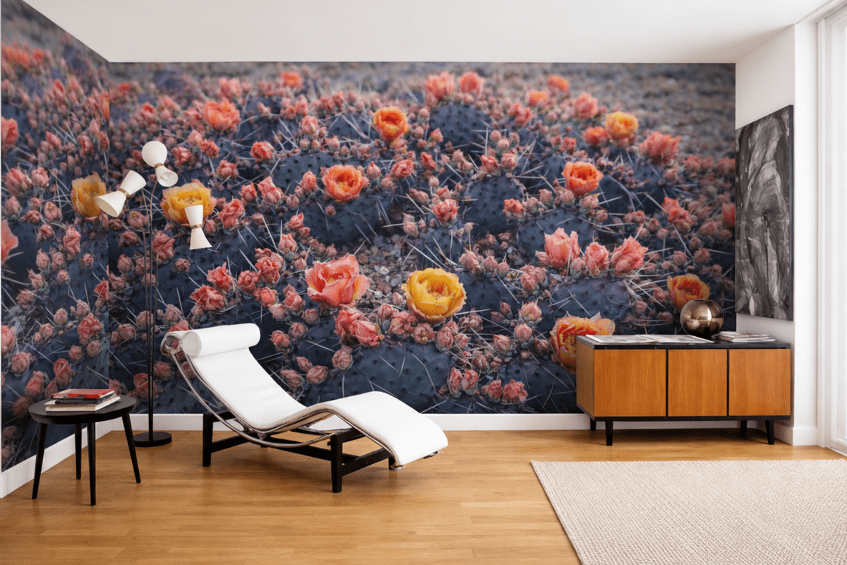 Cactus Blossom Oasis