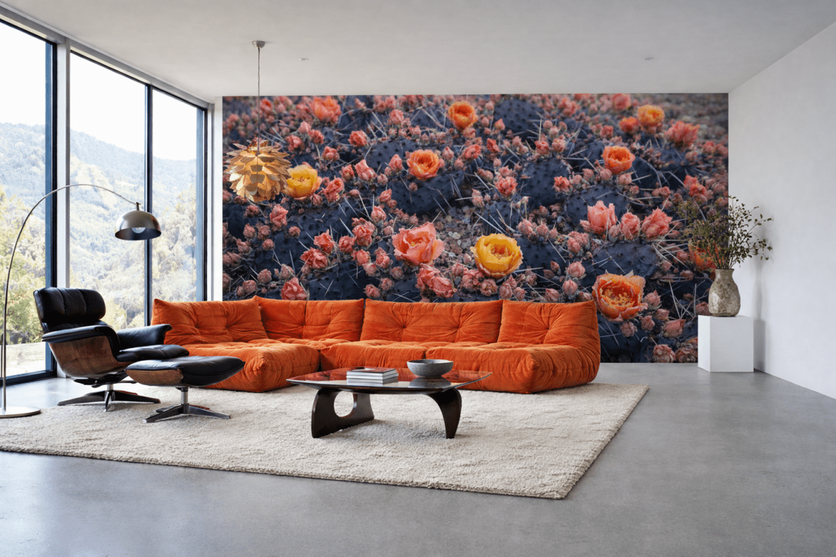 Cactus Blossom Oasis