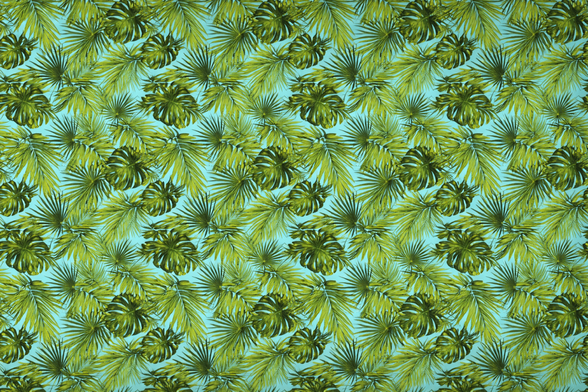 Tropical Canopy Veil