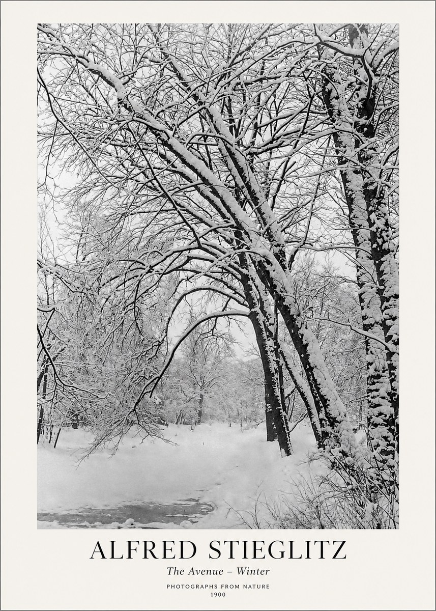 Alfred Stieglitz The Avenue – Winter No1 - Plakat