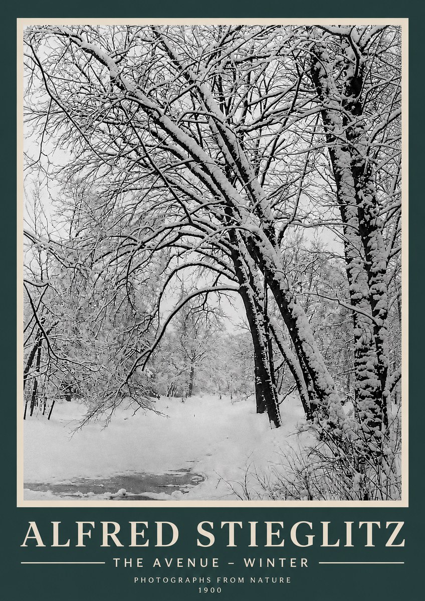 Alfred Stieglitz The Avenue – Winter No3 - Plakat