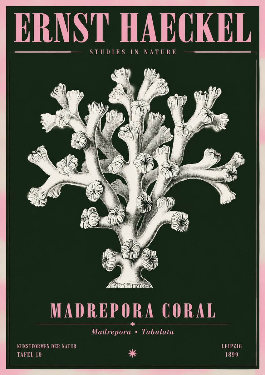 Ernst Haeckel Corallium Rubrum I No5 - Plakat