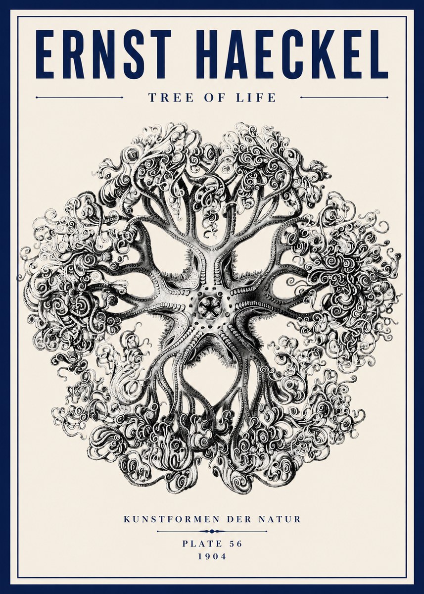 Ernst Haeckel Tree-like Organism No6 - Plakat