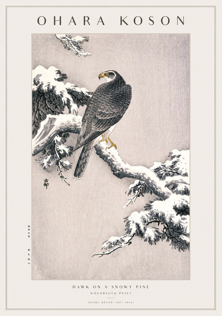 Ohara Koson Hawk on a Snowy Pine No1 - Plakat