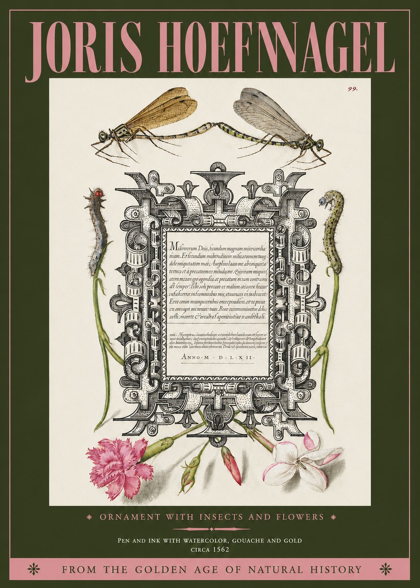 Joris Hoefnagel Ornamental Frame with Damselflies, Caterpillars and Flowers No4 - Plakat