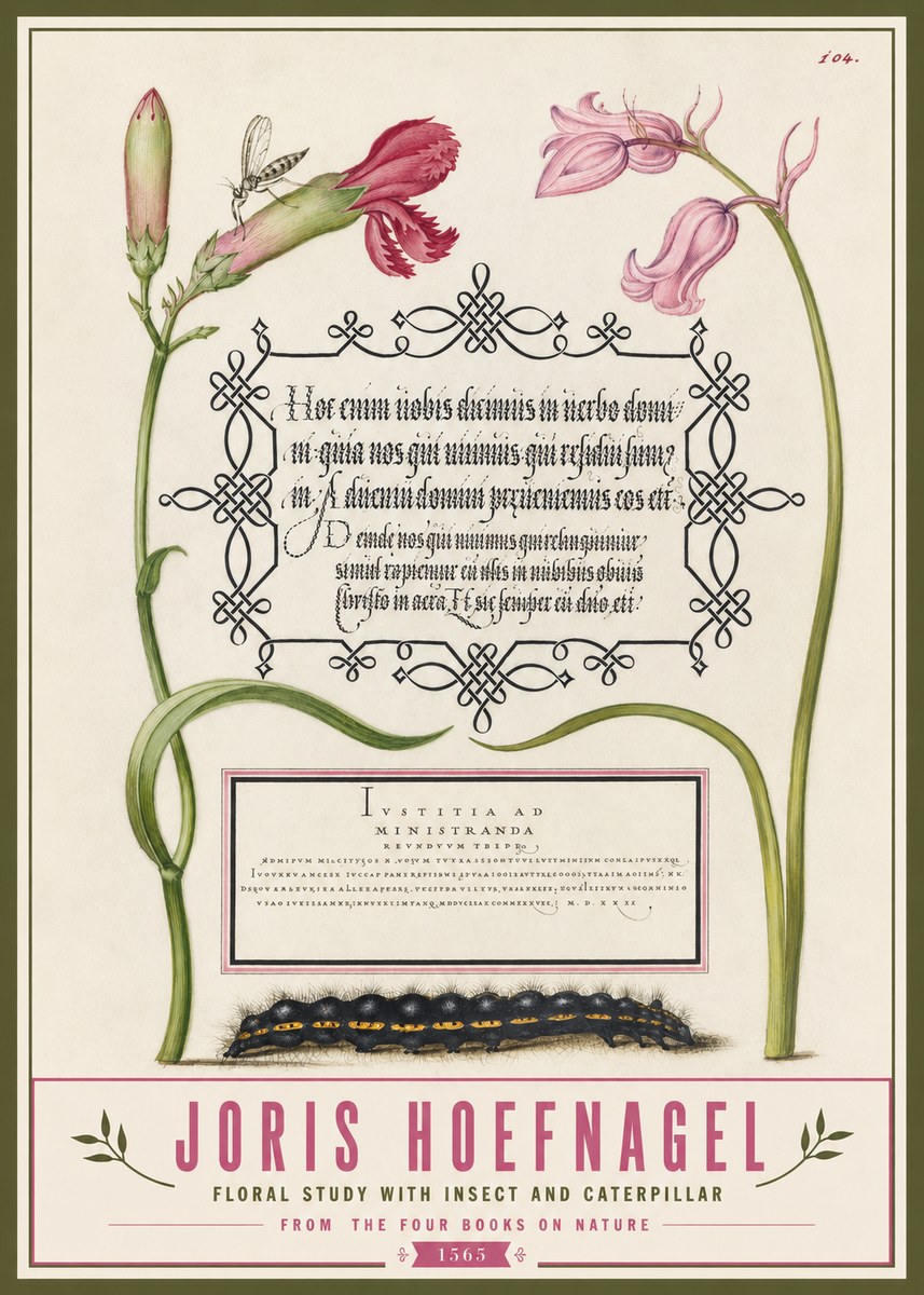 Joris Hoefnagel Floral Study with Insect and Caterpillar No3 - Plakat