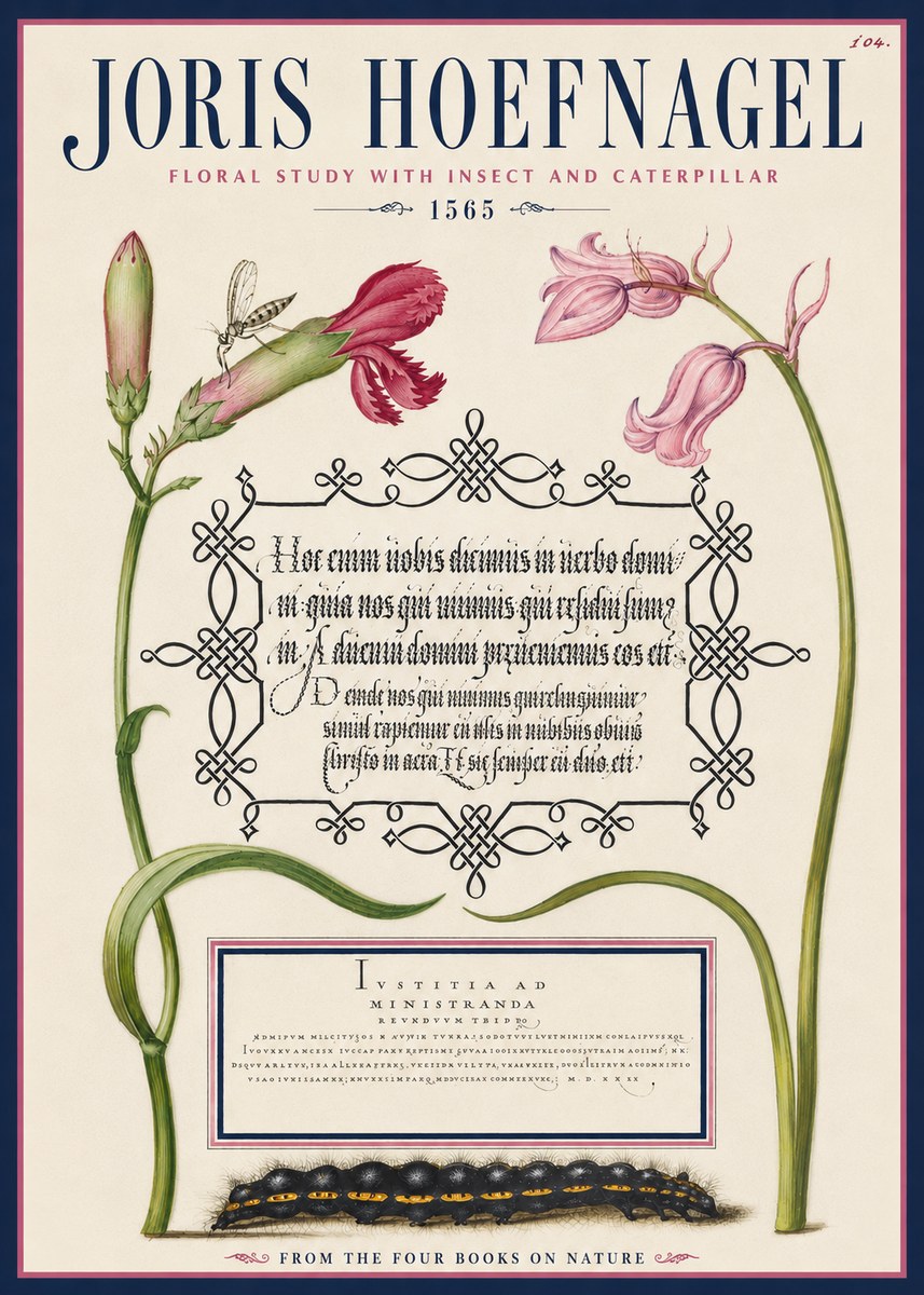Joris Hoefnagel Floral Study with Insect and Caterpillar No4 - Plakat