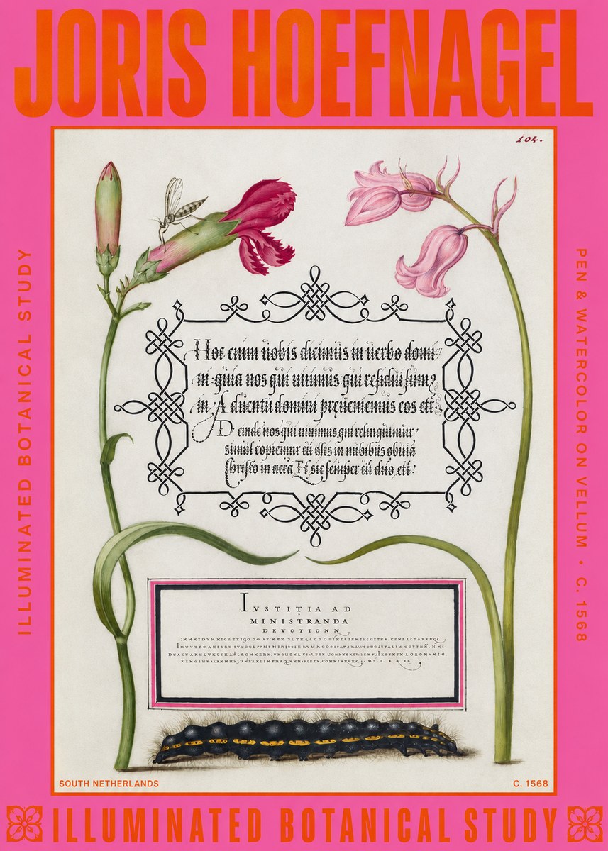 Joris Hoefnagel Floral Study with Insect and Caterpillar No6 - Plakat