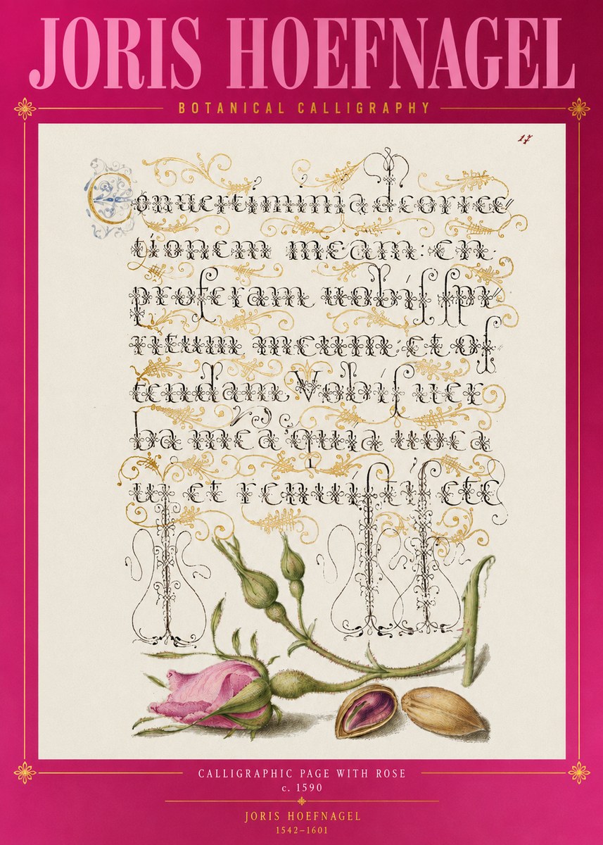Joris Hoefnagel Calligraphic Page with Rose No2 - Plakat
