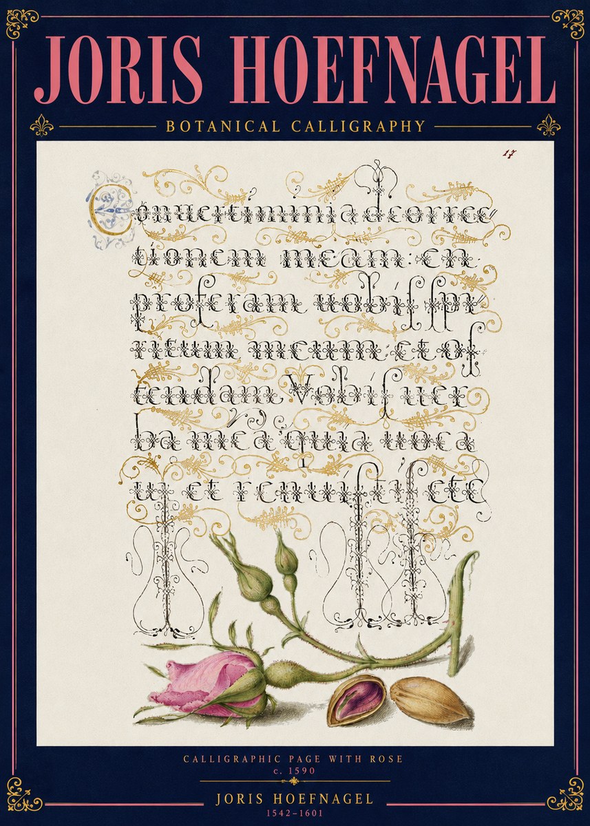 Joris Hoefnagel Calligraphic Page with Rose No4 - Plakat