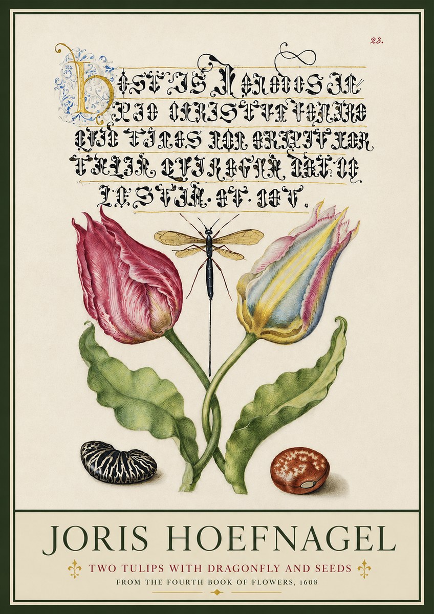 Joris Hoefnagel Two Tulips with Dragonfly and Seeds No3 - Plakat