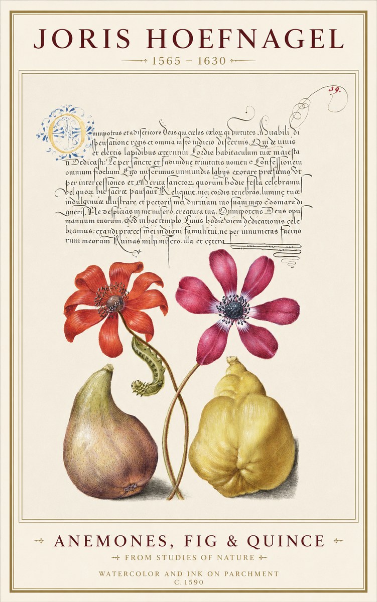 Joris Hoefnagel Flowers and Fruits No2 - Plakat