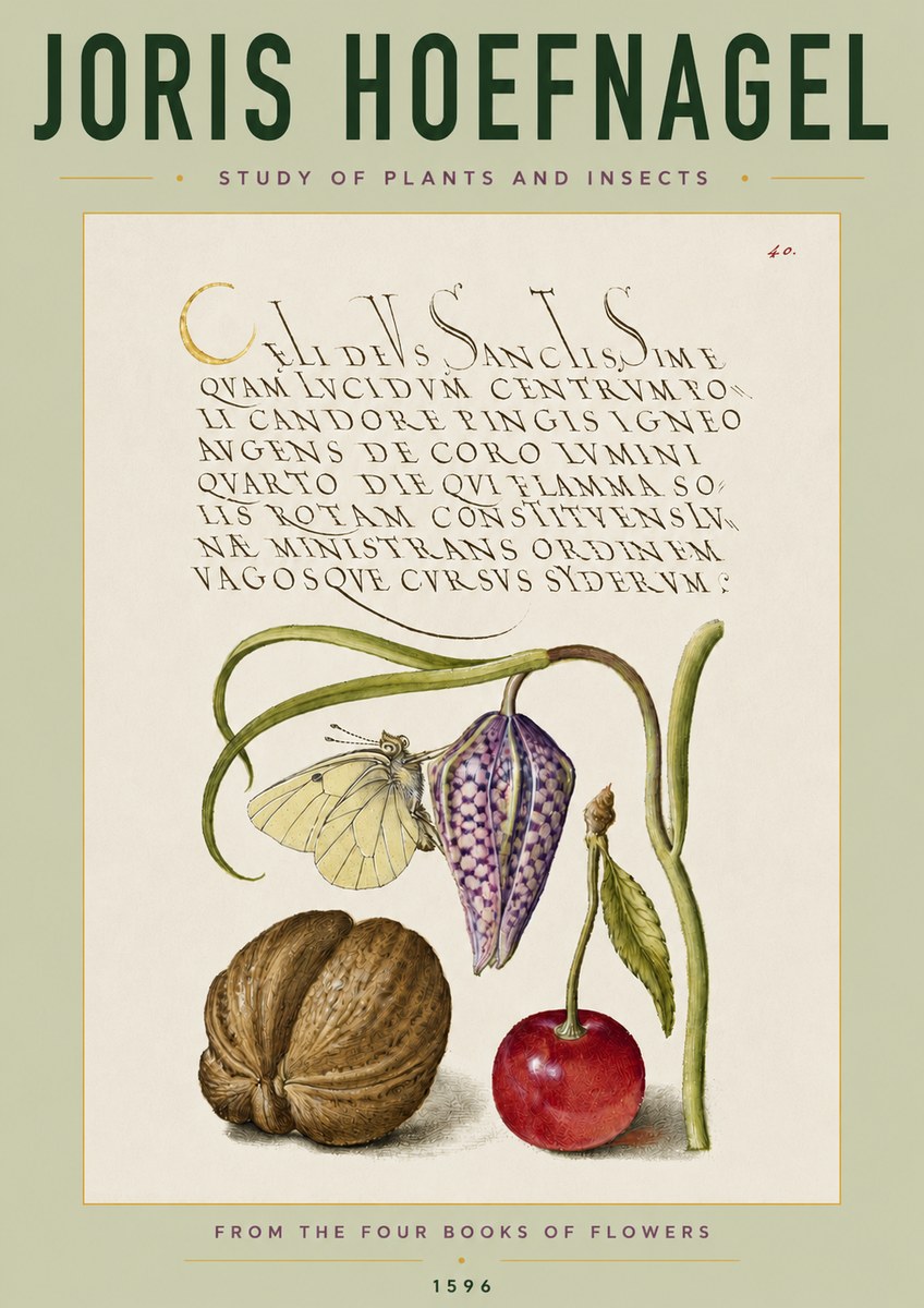 Joris Hoefnagel Study of Plants and Insects No4 - Plakat
