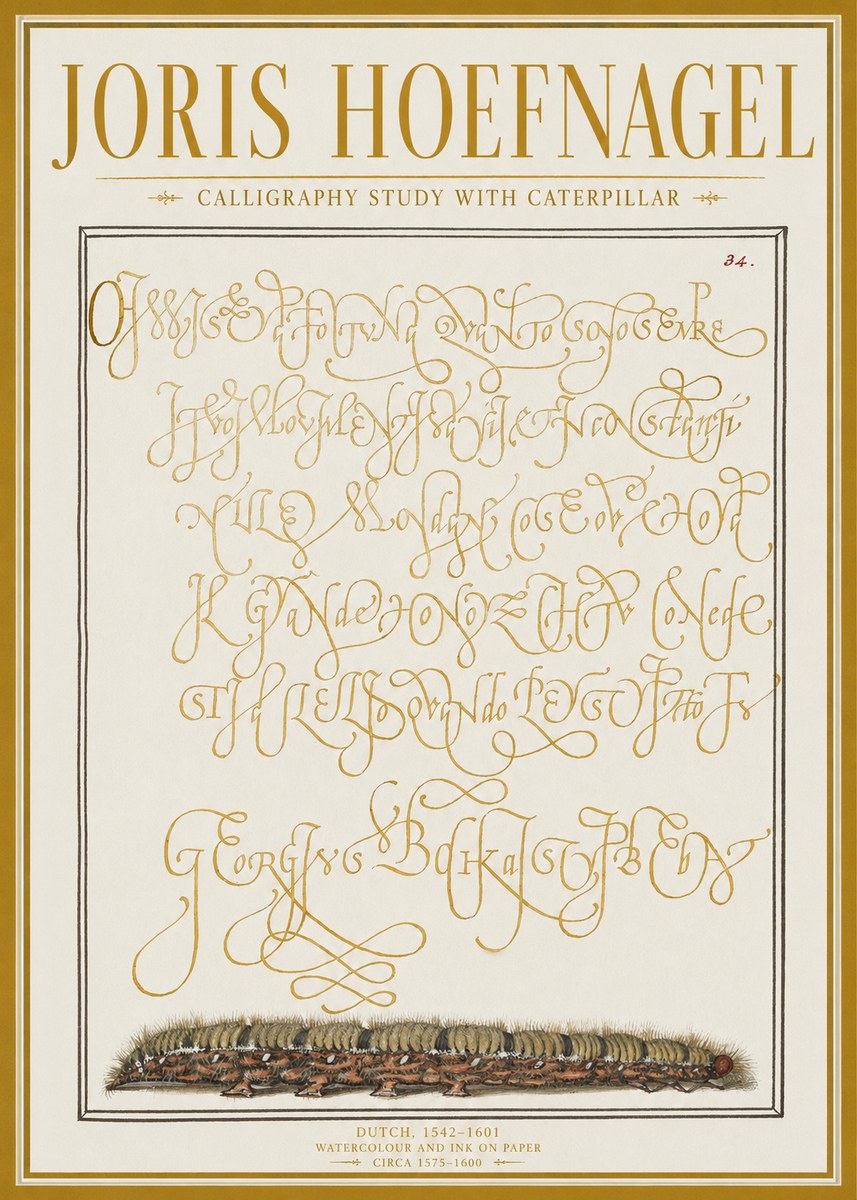 Joris Hoefnagel Calligraphy Study with Caterpillar No1 - Plakat