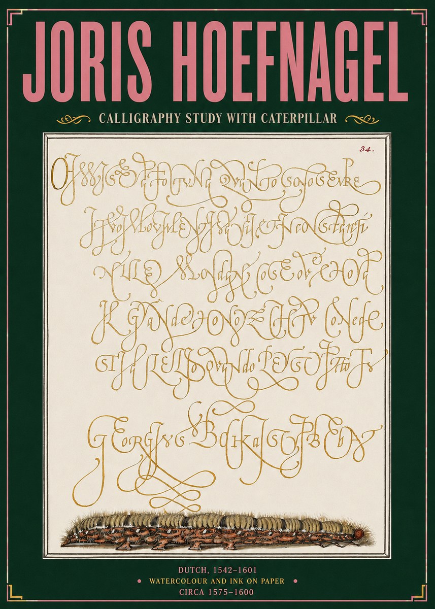 Joris Hoefnagel Calligraphy Study with Caterpillar No3 - Plakat