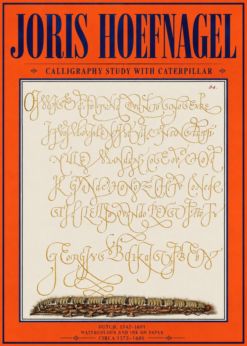 Joris Hoefnagel Calligraphy Study with Caterpillar No4 - Plakat