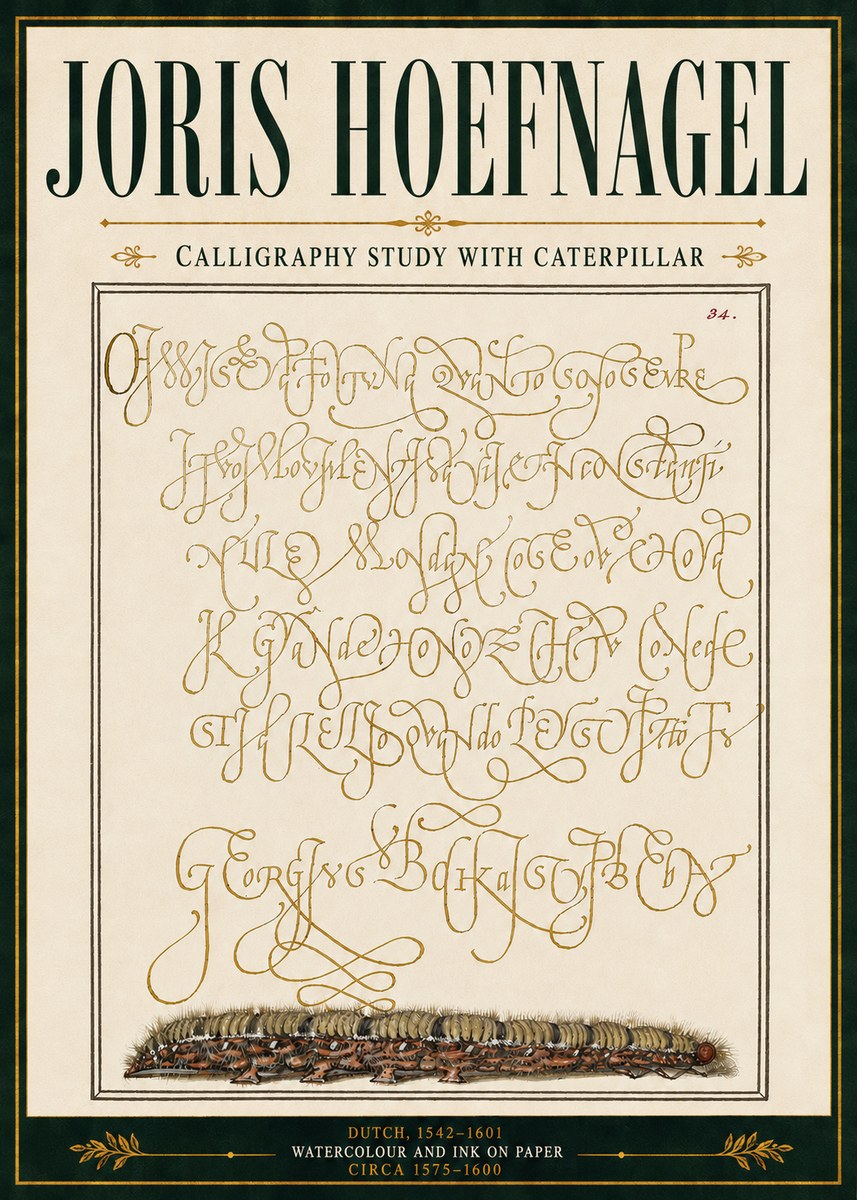 Joris Hoefnagel Calligraphy Study with Caterpillar No5 - Plakat