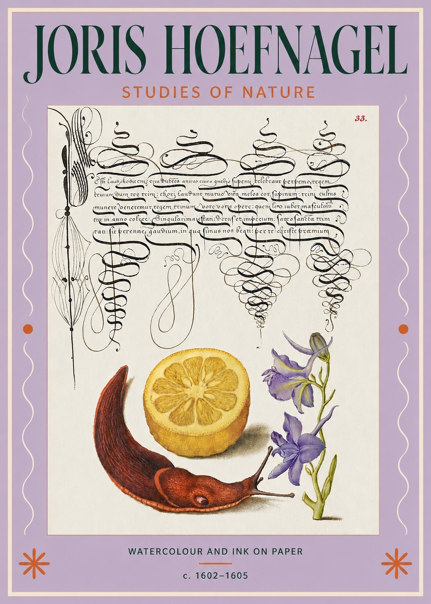 Joris Hoefnagel Studies of Nature No3 - Plakat