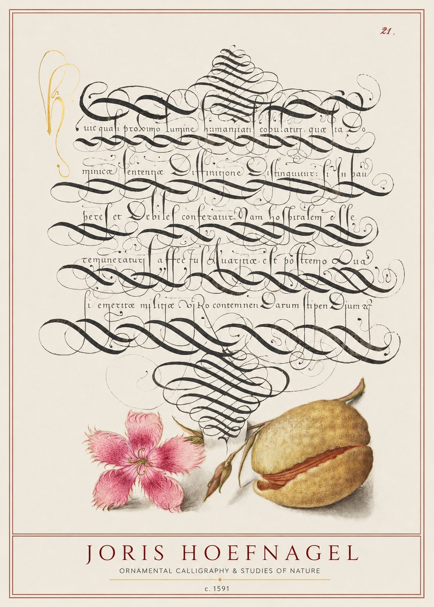 Joris Hoefnagel Ornamental Calligraphy & Studies of Nature No1 - Plakat