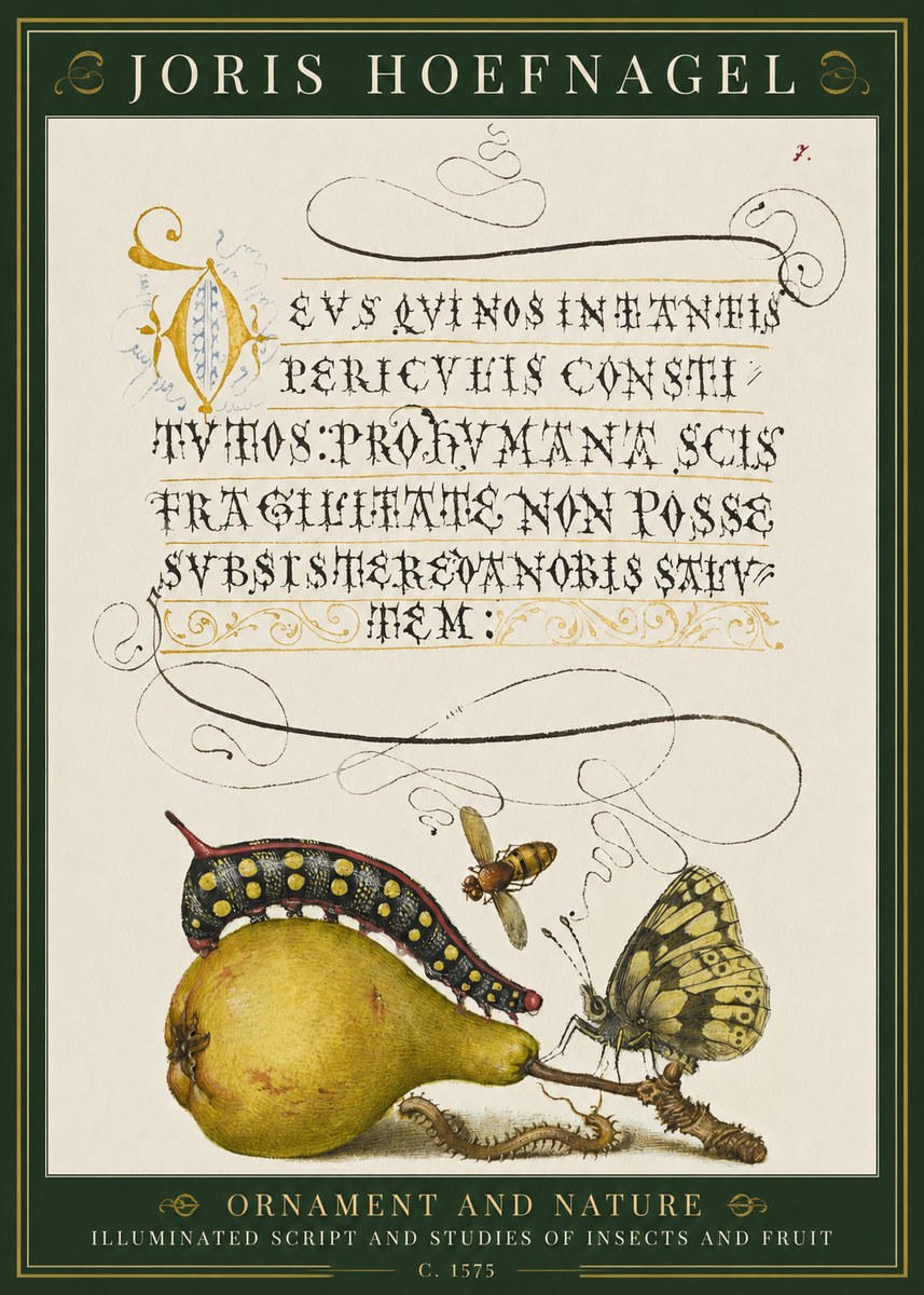 Joris Hoefnagel Ornament and Nature - Illuminated Script and Studies of Insects and Fruit No1 - Plakat