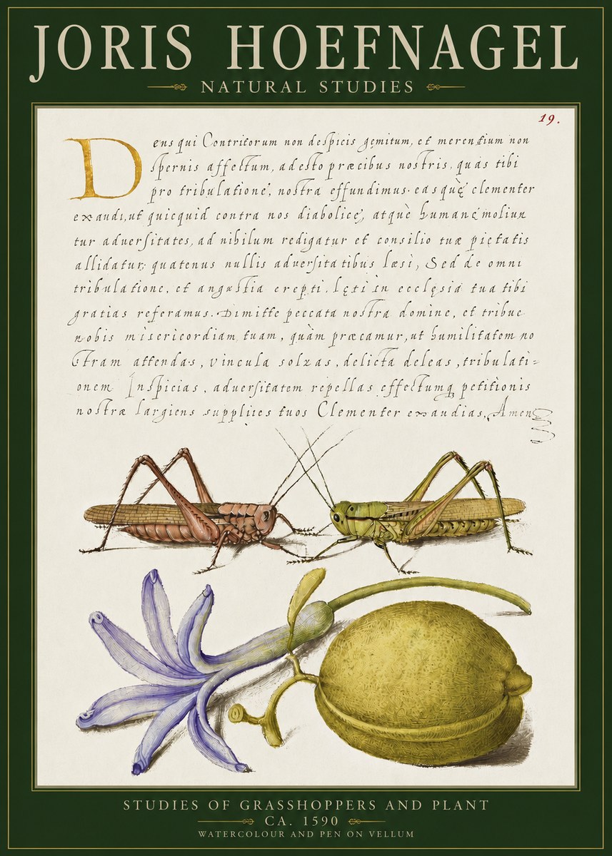Joris Hoefnagel Studies of Grasshoppers and Plant No2 - Plakat