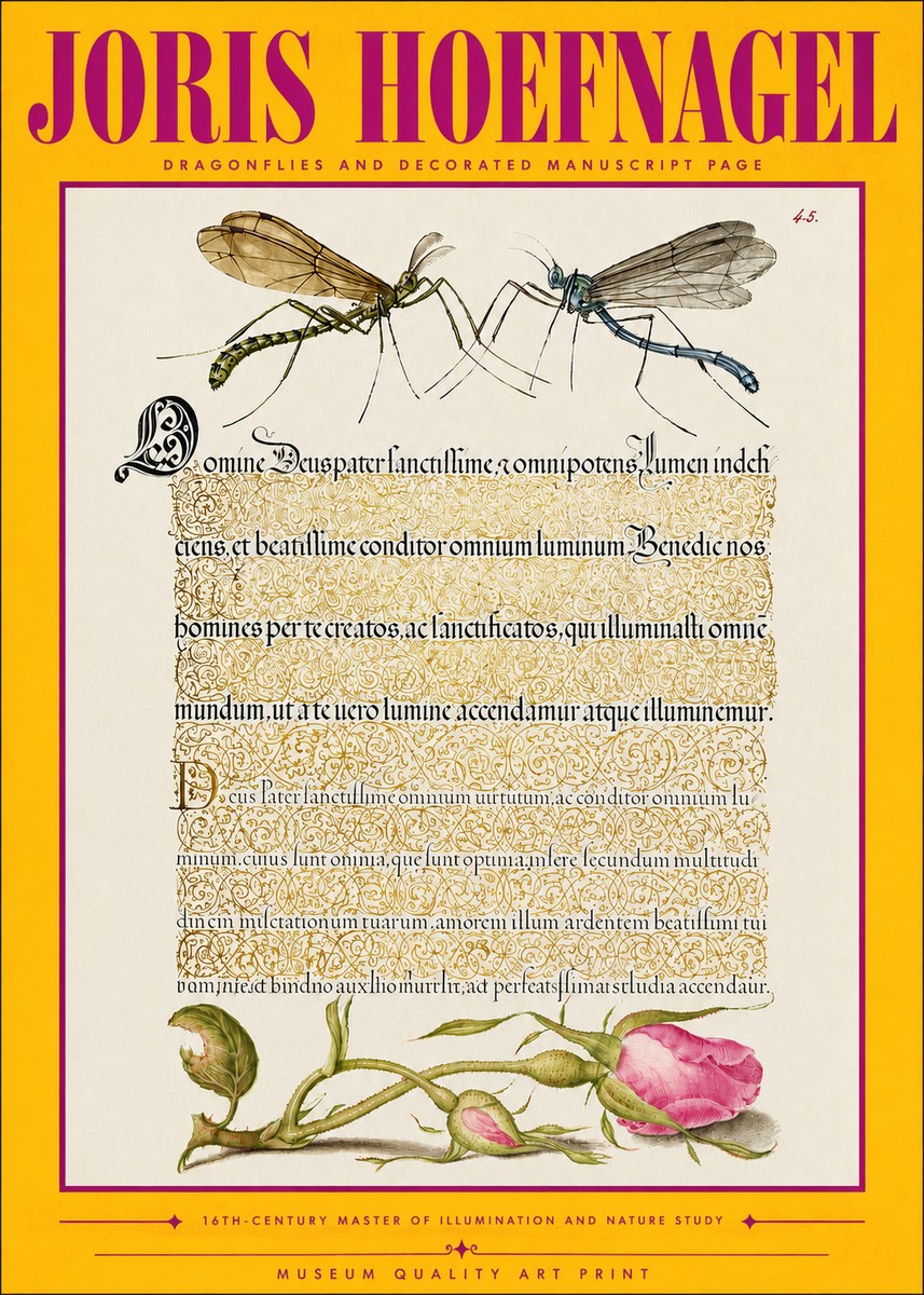 Joris Hoefnagel Dragonflies and Decorated Manuscript Page No4 - Plakat