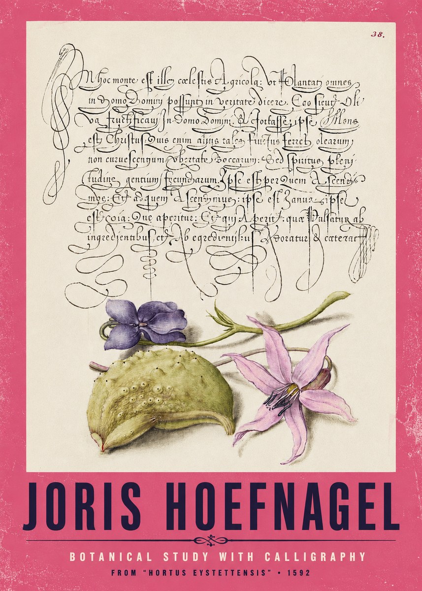 Joris Hoefnagel Botanical Study with Calligraphy I No2 - Plakat