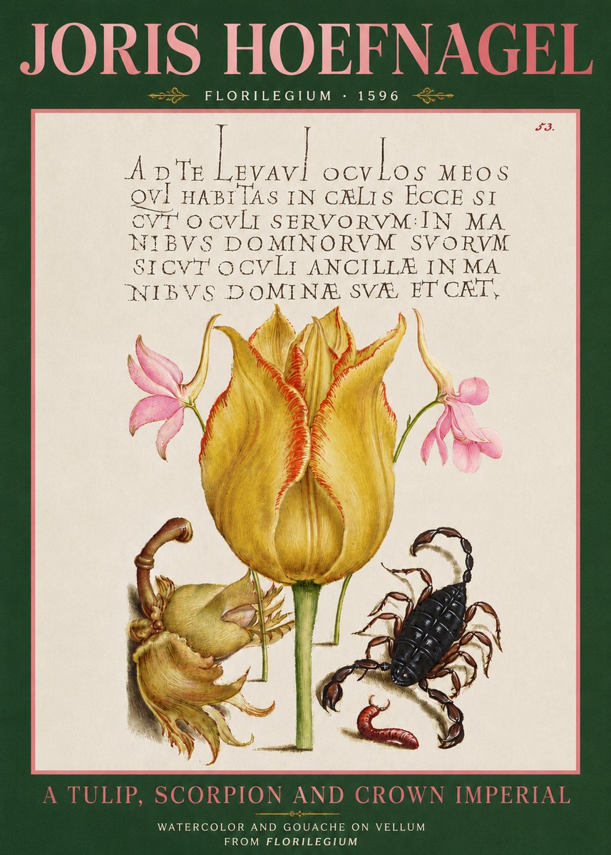 Joris Hoefnagel A Tulip, Scorpion and Crown Imperial No3 - Plakat