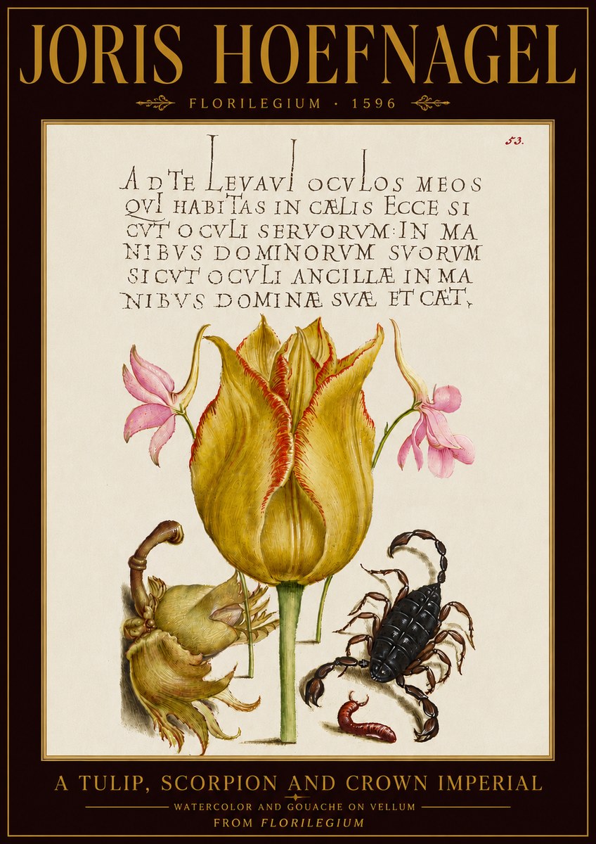 Joris Hoefnagel A Tulip, Scorpion and Crown Imperial No5 - Plakat