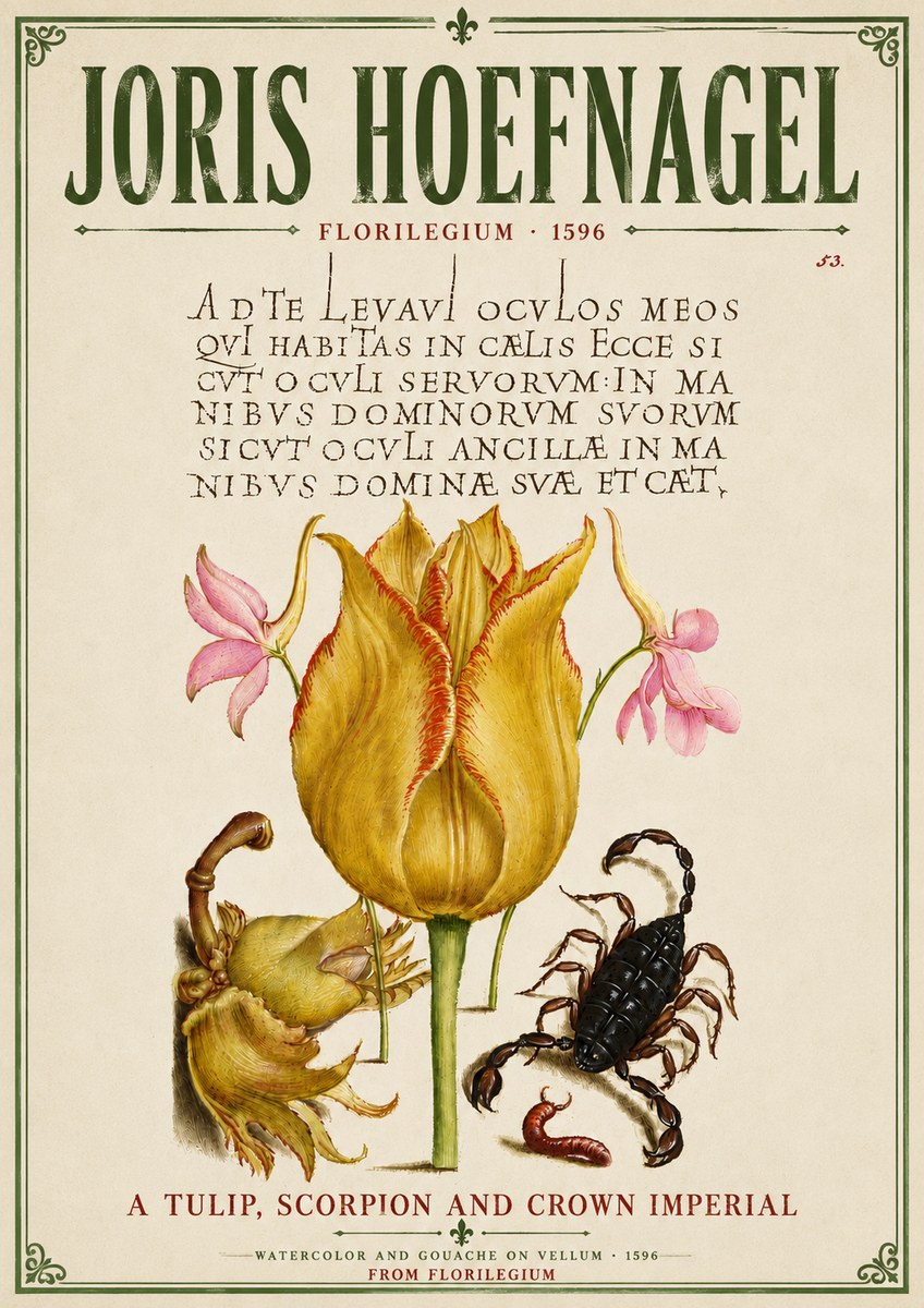 Joris Hoefnagel A Tulip, Scorpion and Crown Imperial No6 - Plakat