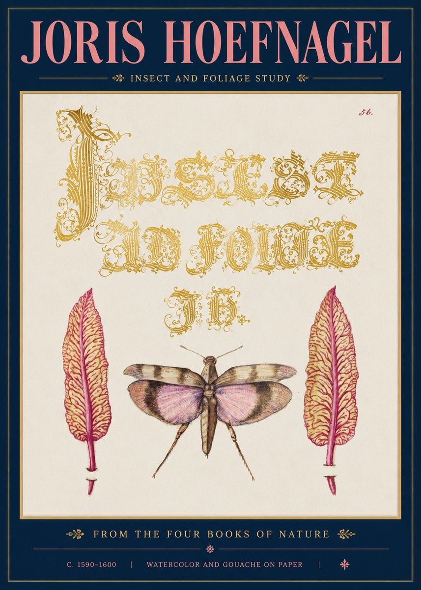 Joris Hoefnagel Insect and Foliage Study No5 - Plakat