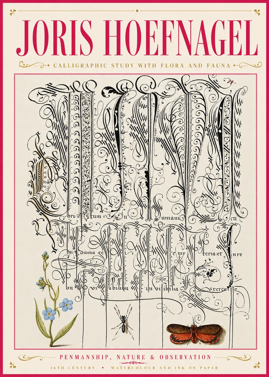 Joris Hoefnagel Calligraphic Study with Flora and Fauna No6 - Plakat