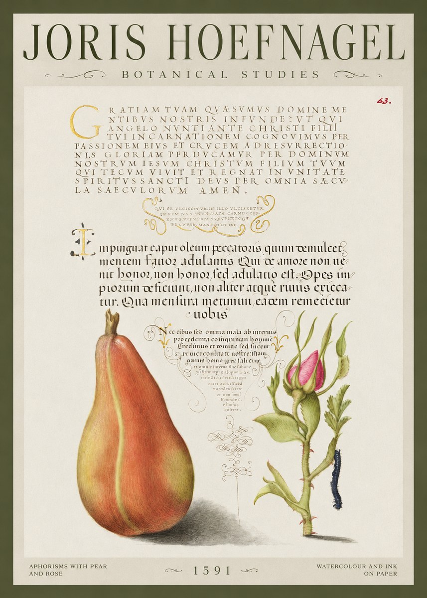 Joris Hoefnagel Aphorisms with Pear and Rose No1 - Plakat