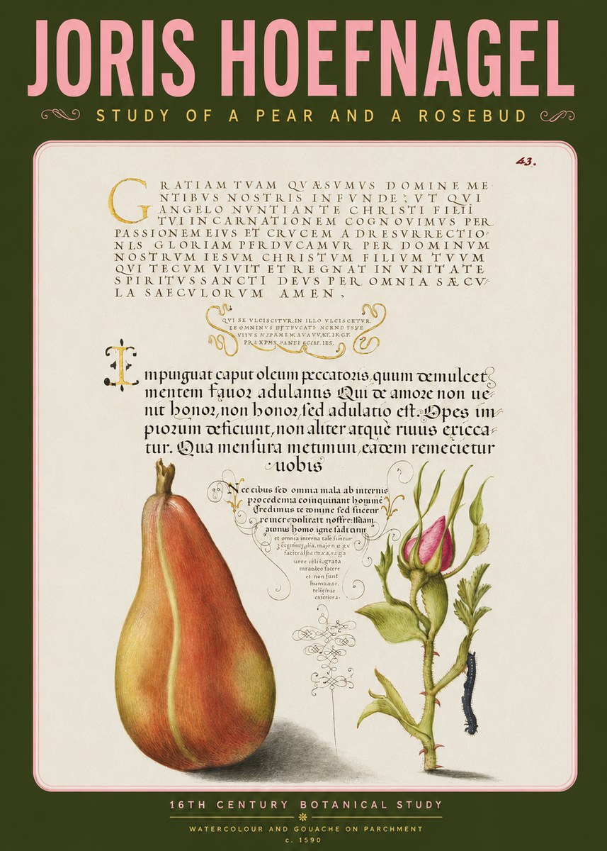 Joris Hoefnagel Aphorisms with Pear and Rose No4 - Plakat