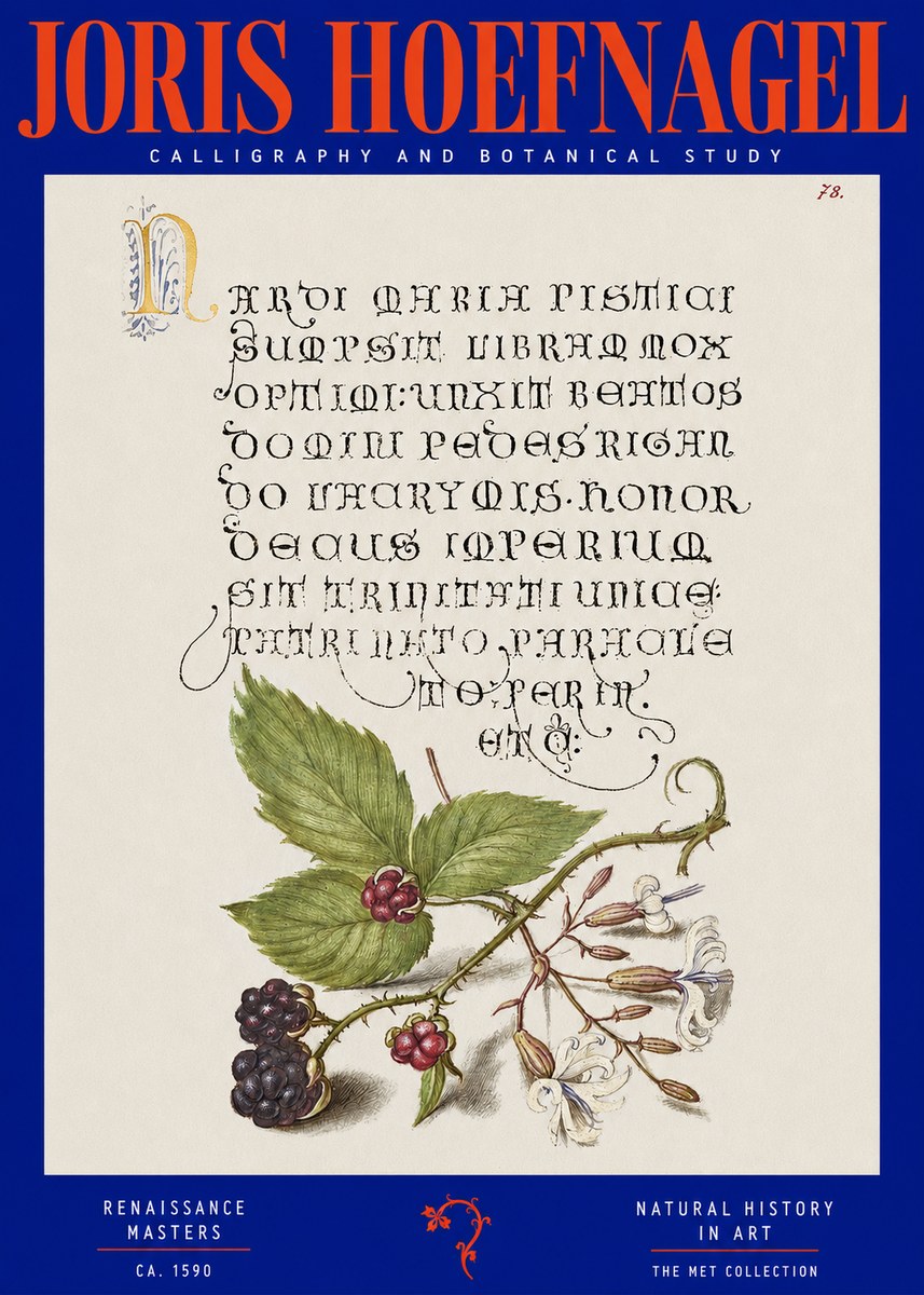 Joris Hoefnagel Calligraphy and Botanical Study II No2 - Plakat