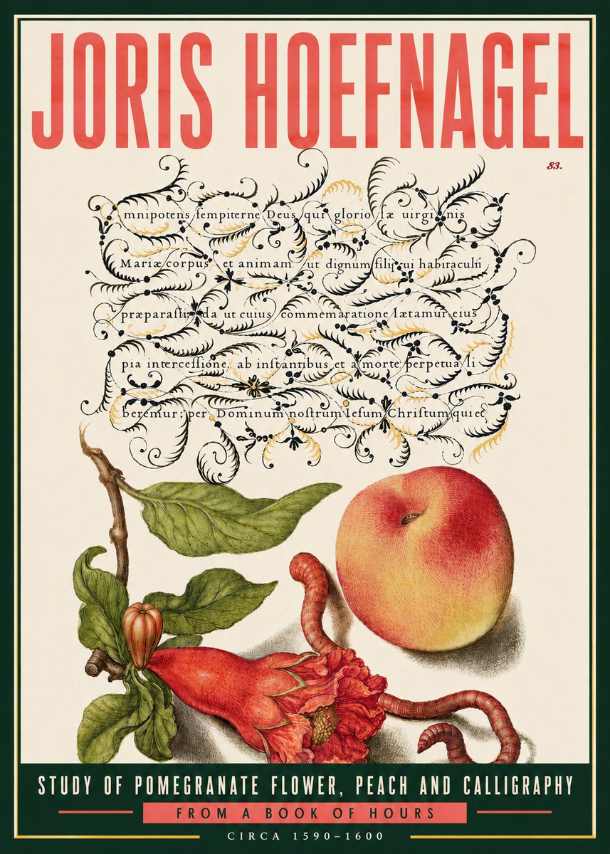 Joris Hoefnagel Study of Pomegranate Flower, Peach and Calligraphy from a Book of Hours No6 - Plakat