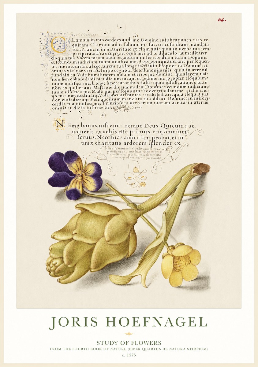 Joris Hoefnagel Botanical Study with Calligraphy III No2 - Plakat