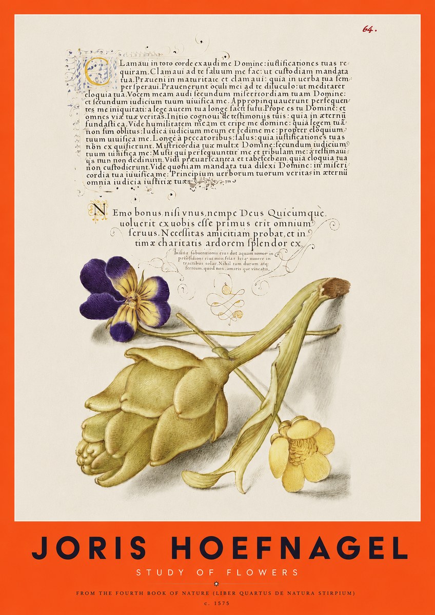 Joris Hoefnagel Botanical Study with Calligraphy III No4 - Plakat
