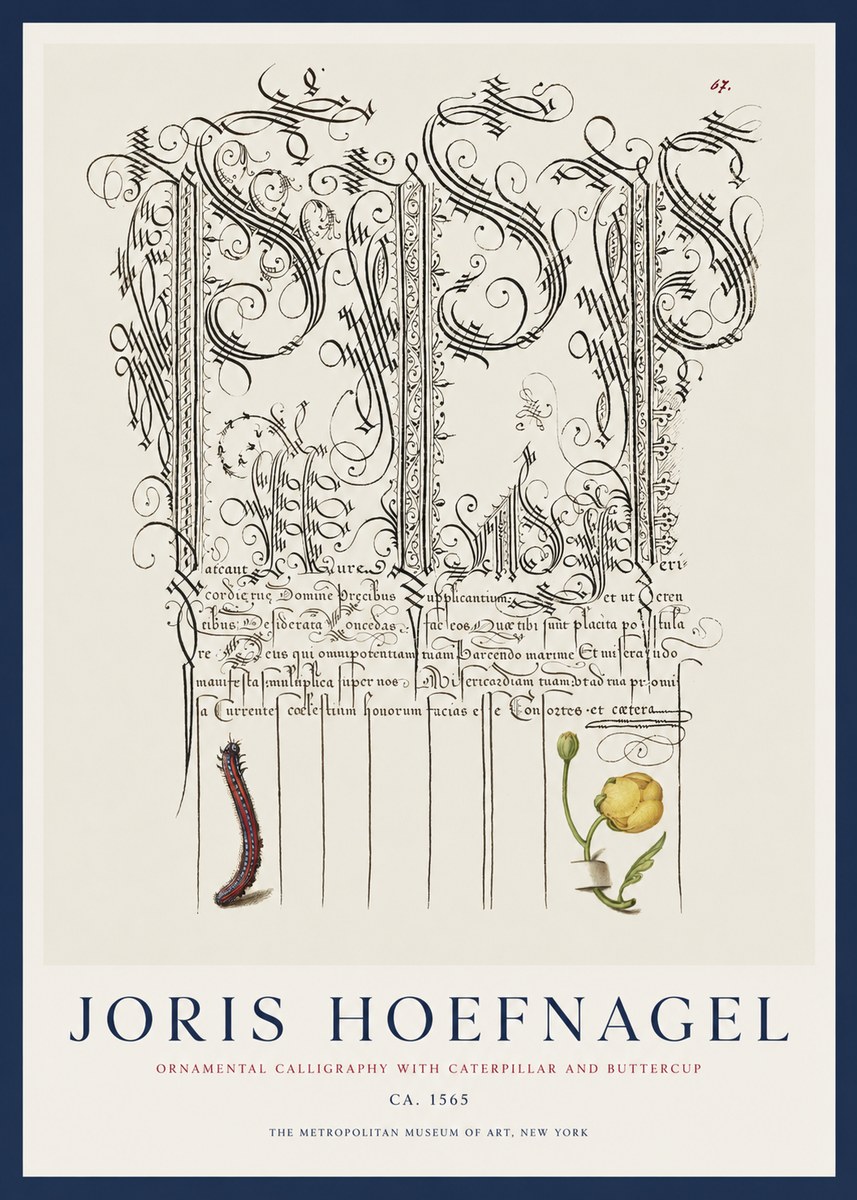 Joris Hoefnagel Ornamental Calligraphy with Caterpillar and Buttercup No1 - Plakat