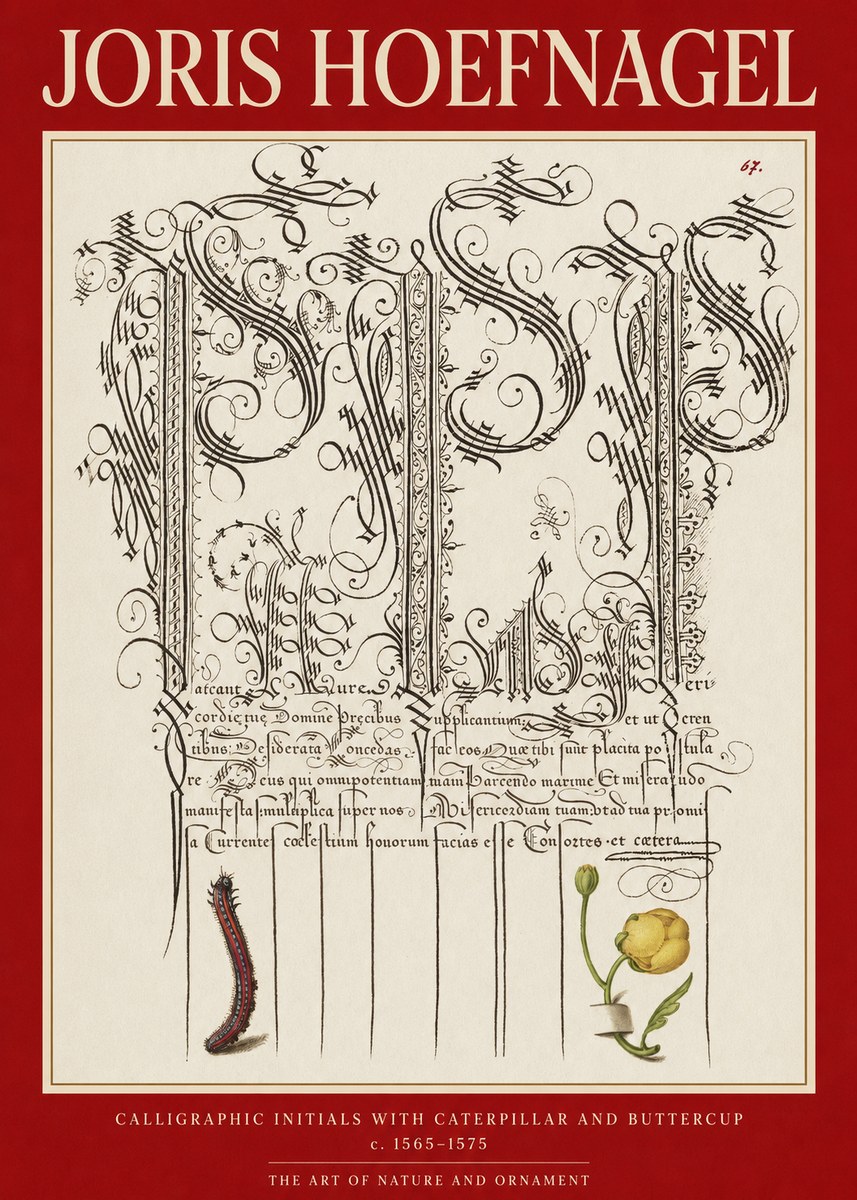 Joris Hoefnagel Ornamental Calligraphy with Caterpillar and Buttercup No6 - Plakat