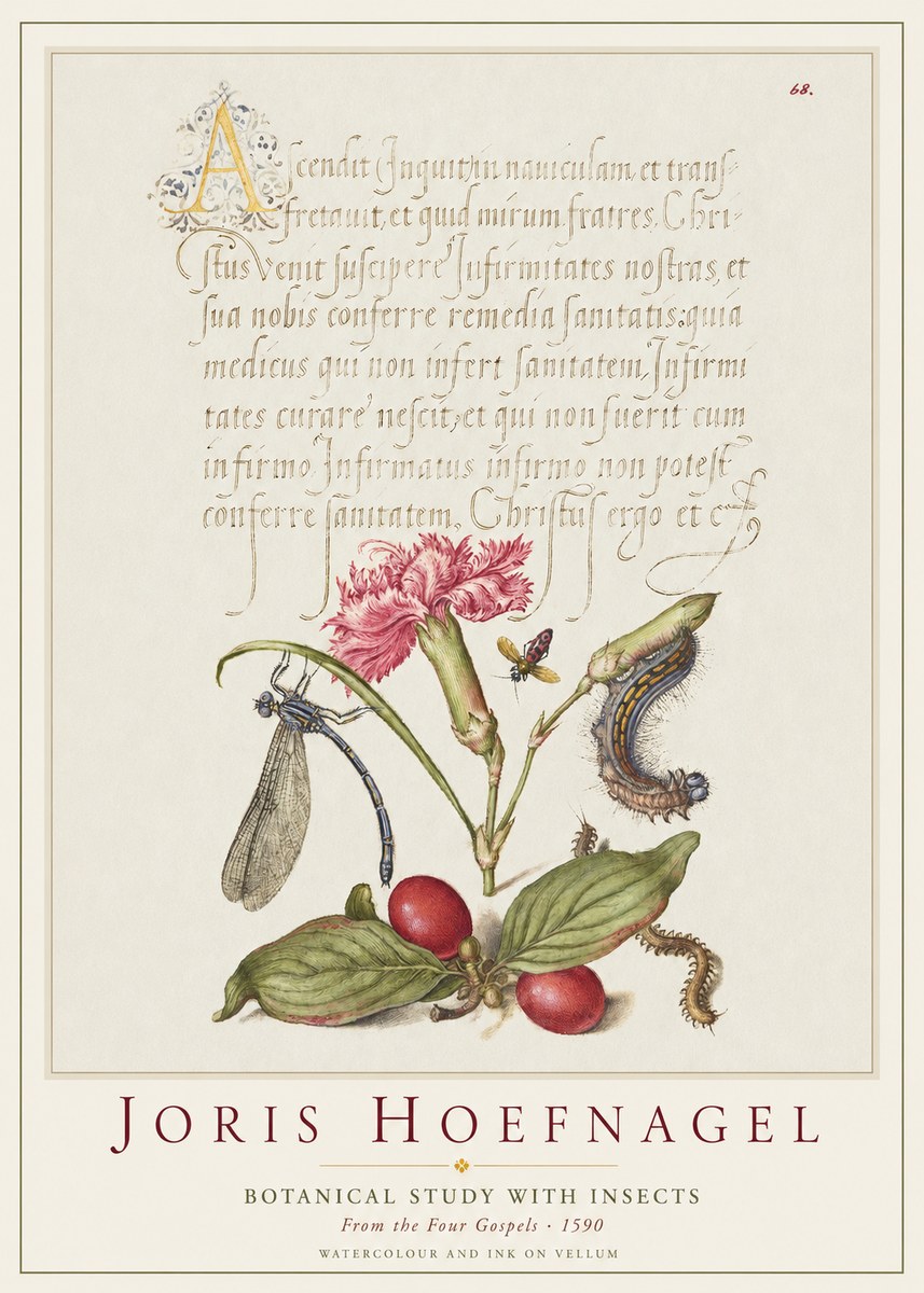 Joris Hoefnagel Botanical Study with Insects No1 - Plakat