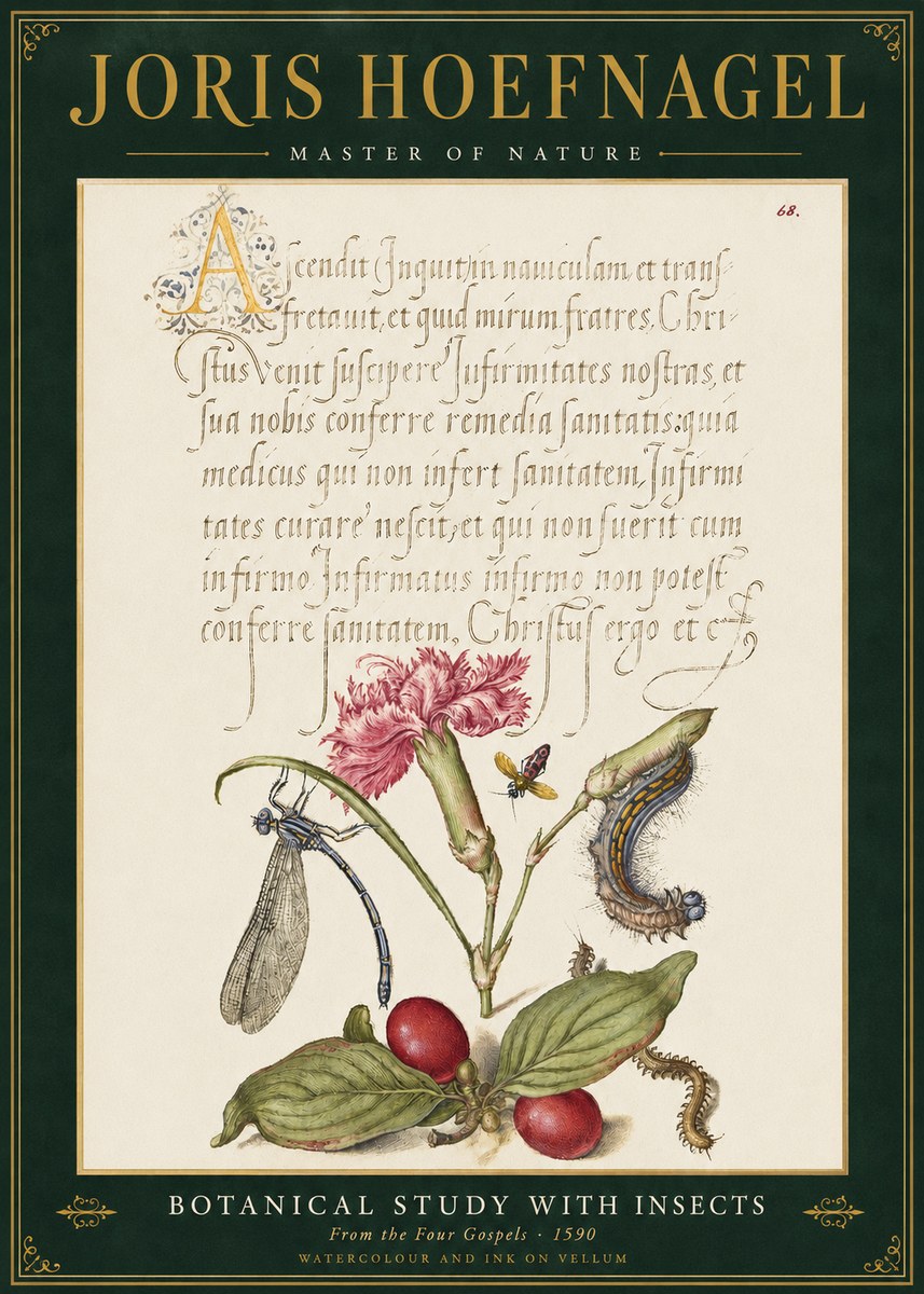 Joris Hoefnagel Botanical Study with Insects No3 - Plakat