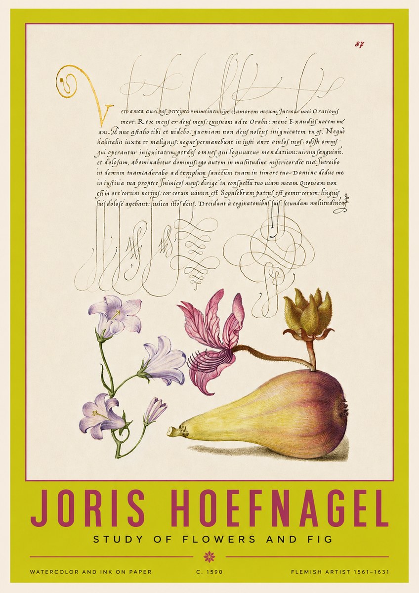 Joris Hoefnagel Study of Plants II No4 - Plakat