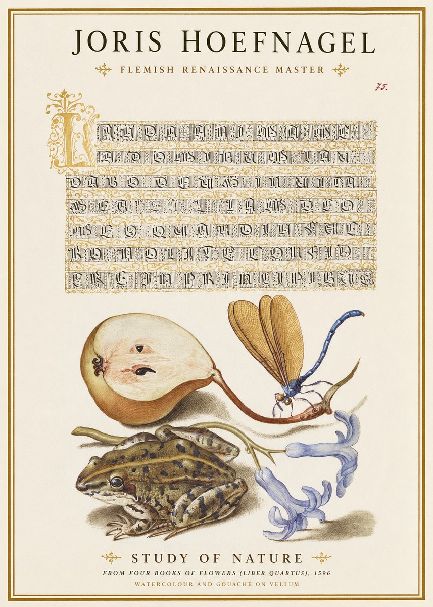 Joris Hoefnagel Study of Nature II No1 - Plakat