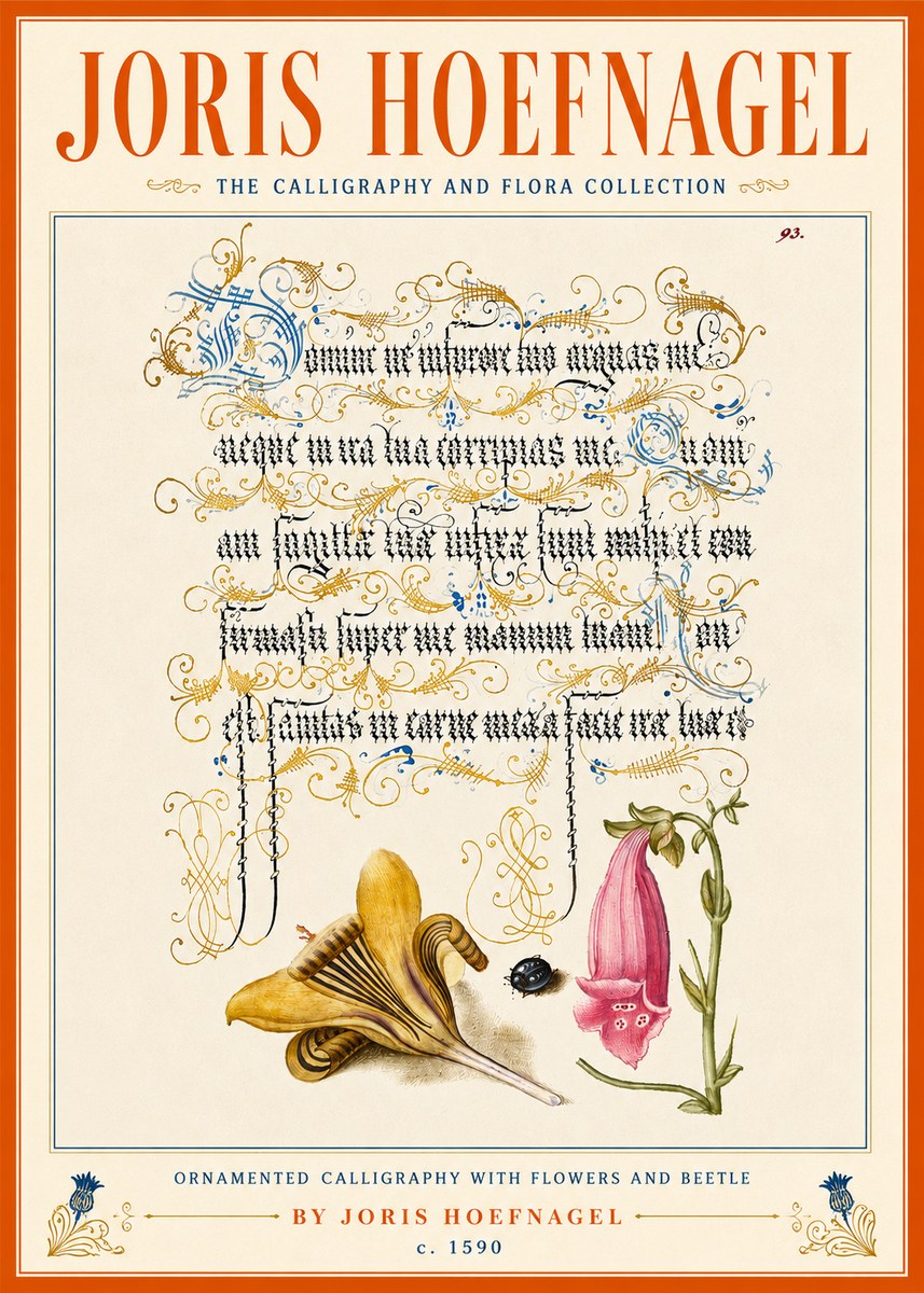 Joris Hoefnagel Ornamented Calligraphy with Flowers and Beetle No5 - Plakat