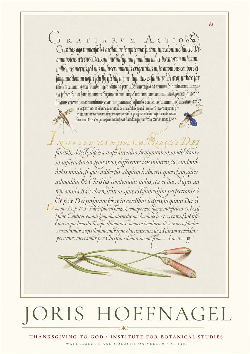 Joris Hoefnagel Thanksgiving to God • Institute for Botanical Studies No1 - Plakat