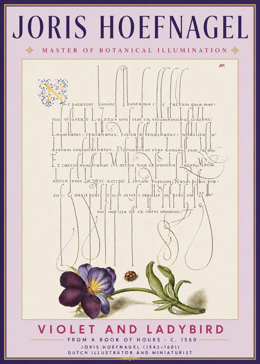 Joris Hoefnagel Violet and Ladybird No3 - Plakat